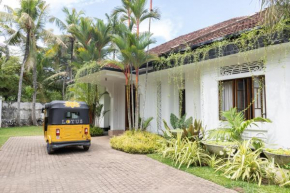 Lotus Surf And Wellness